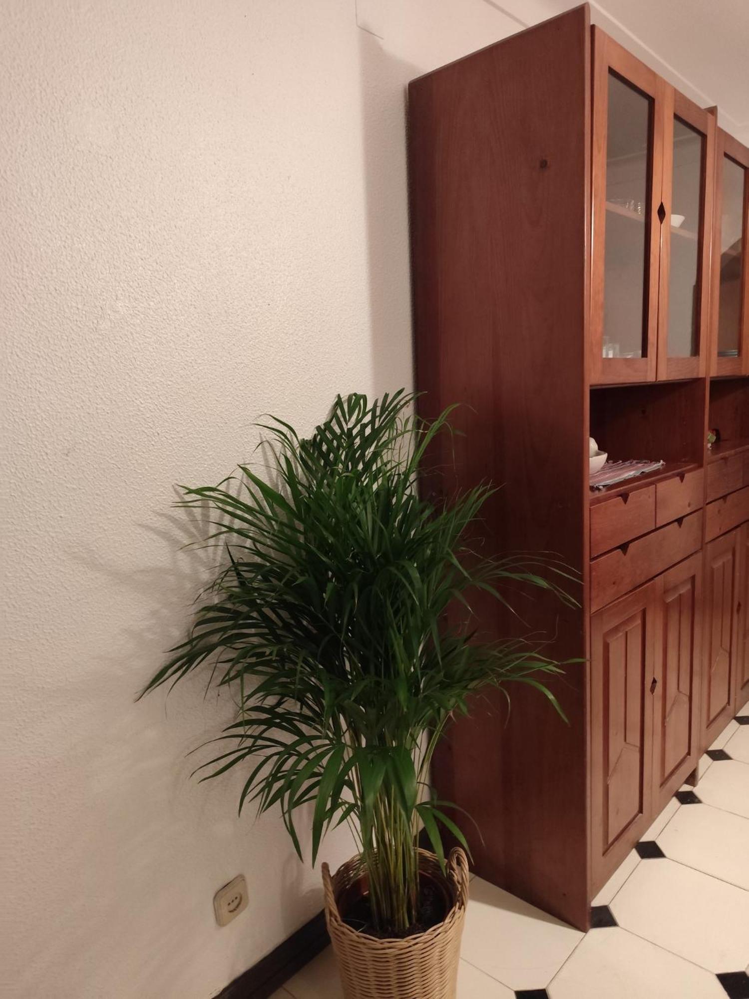 Casa Das Flores アルブフェイラ エクステリア 写真